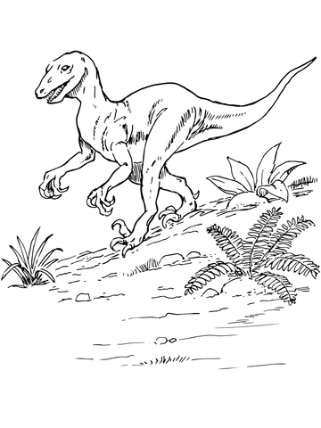 Deinonychus Dinosaur Coloring Page